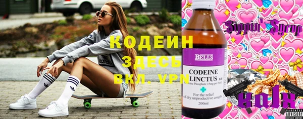 ГАЛЛЮЦИНОГЕННЫЕ ГРИБЫ Ладушкин