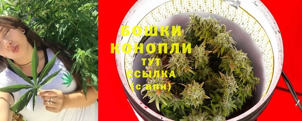 шишки Балабаново
