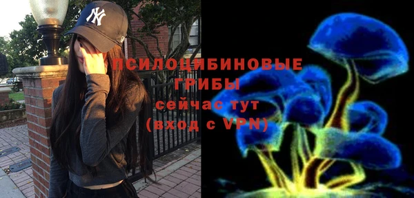 шишки Балабаново